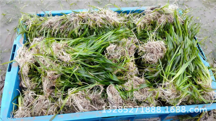 微信图片_20171203124040