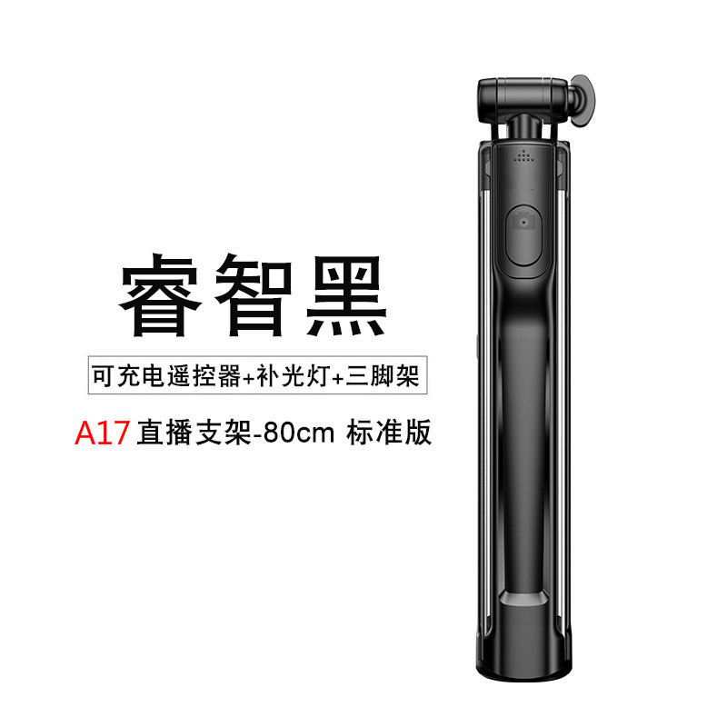 Bâton selfie en ABS - Ref 3386141 Image 13