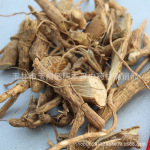 黄花倒水莲 正品阴根 黄花参 鸡仔树 吊吊黄 倒吊黄根 观音串根