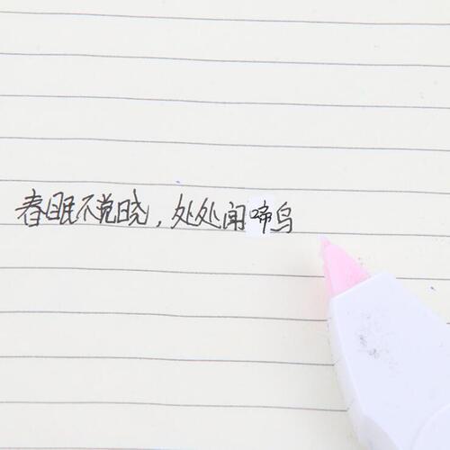 Korean creative animal correction tape Korean version cartoon student stationery animal correction tape manufacturer wholesale