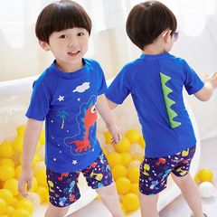 New Children's Swimsuit Boys Split Swimsuit Big Kids Baby Cartoon Dinosaur Boy Swimsuit with Corners Wholesale