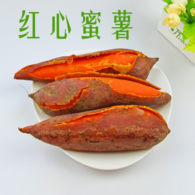 漳浦六鳌地瓜 沙地红蜜薯 新鲜生甜红薯非紫薯 一件代发|ru