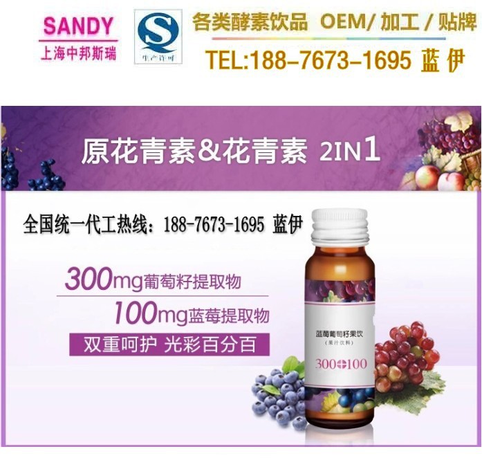 蓝莓葡萄果饮_conew2