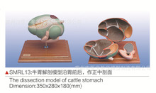 SMRL13ţθ����ģ��