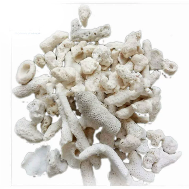 Coral aquarium, cigarette holder
