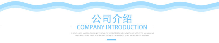 公司介绍.jpg