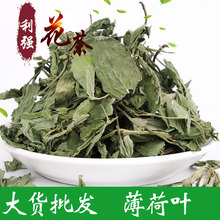 |~ ~ 2025؛Nɢb象~؛