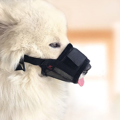 Breathable and comfortable dog bite muzzle for anti-barking, can drink water, suitable for small, medium, and large breeds like Teacup, Golden Retriever, and Labrador.