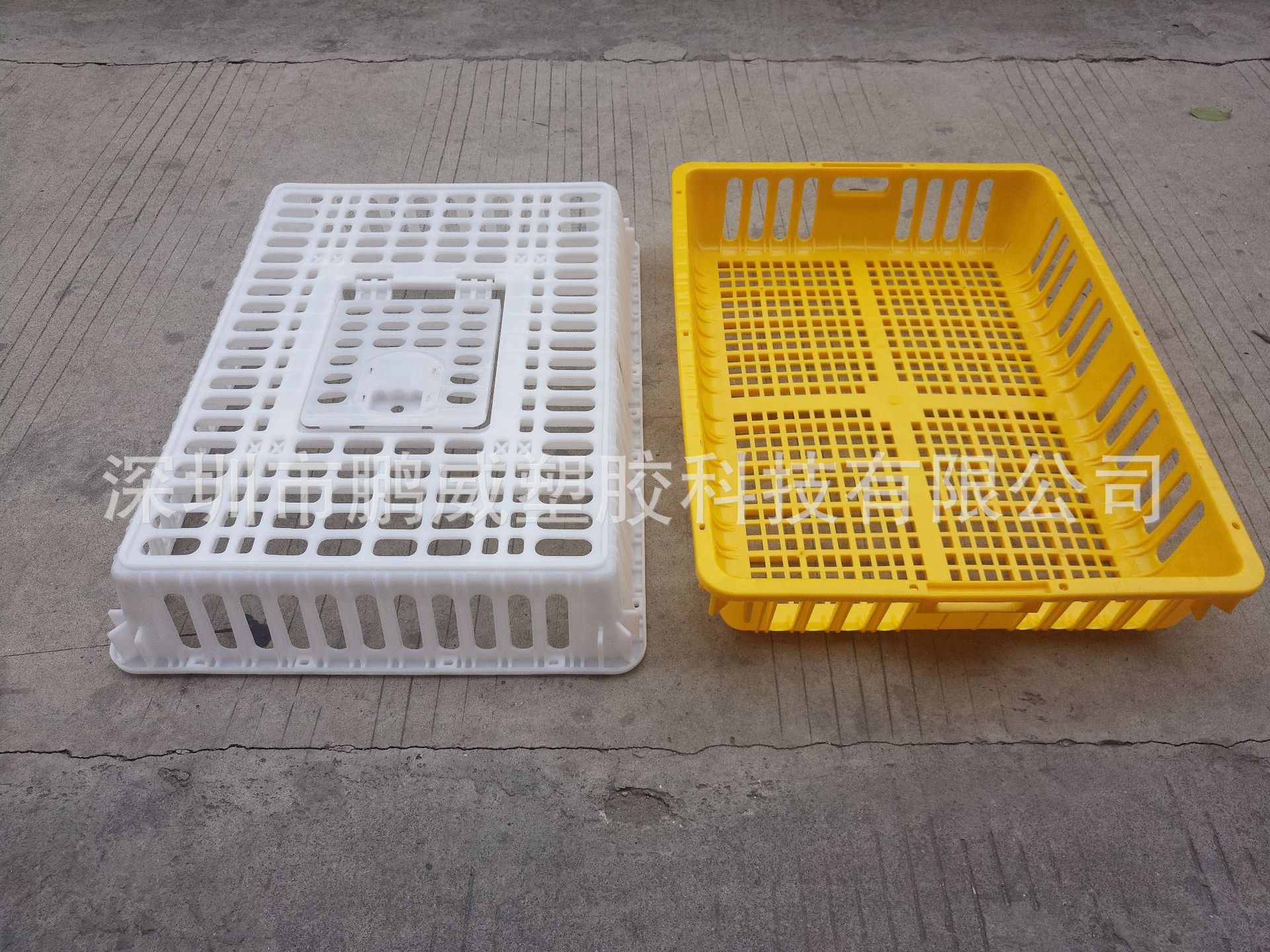 鹏威厂直销成鸡鸭笼运输专用塑料笼 上白下黄两色搭配塑胶笼