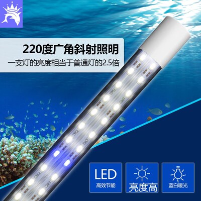 鱼缸潜水灯 智洋水族led照明 龙鱼LED灯血鹦鹉水族潜水灯