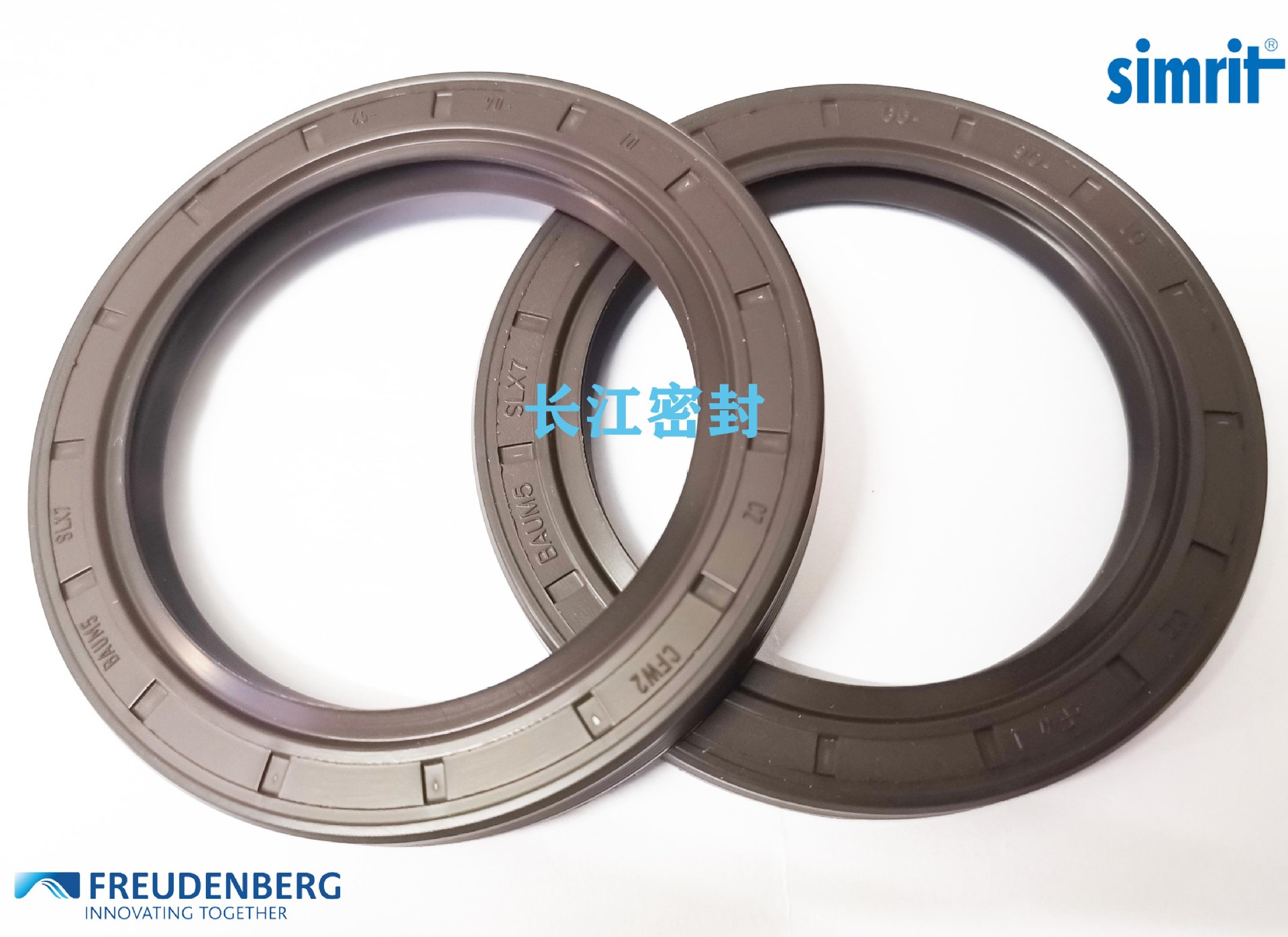 BAUM5SLX7 65-90-10 SIMMERRING FREUDENBERG DINAS 75FKM585油封
