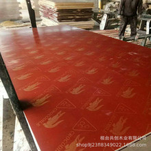 建築紅模板 木板建築膠合板高質量廠家直銷模板建築模板工程板
