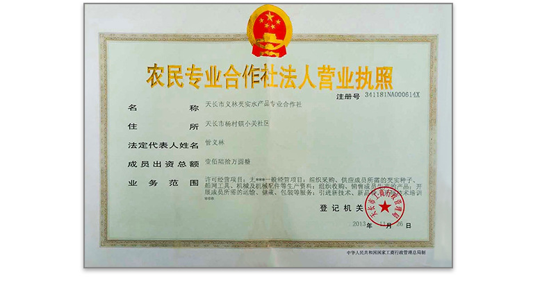 Dried Red Skin Gorgon Fruit Qian Shi 500g Whole Euryale Seeds for Cooking and Congee key features