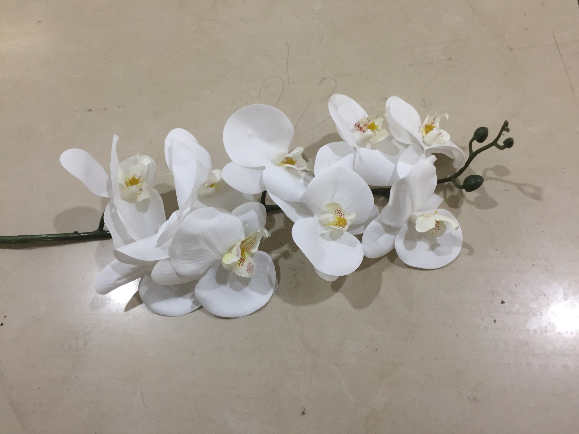 膠片蝴蝶蘭 pu假花過膠 手感9頭蝴蝶蘭 日本蝴蝶蘭 批發