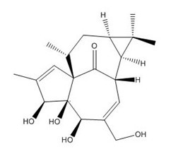 1.巨大戟醇