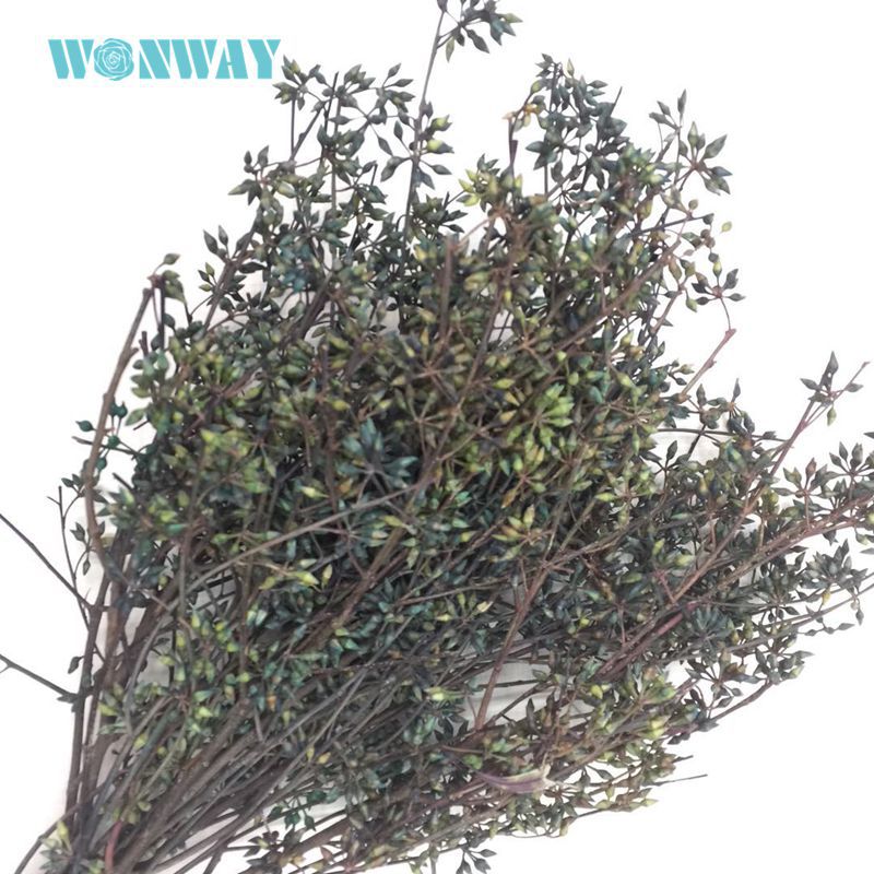 微信图片_20180126134227_副本