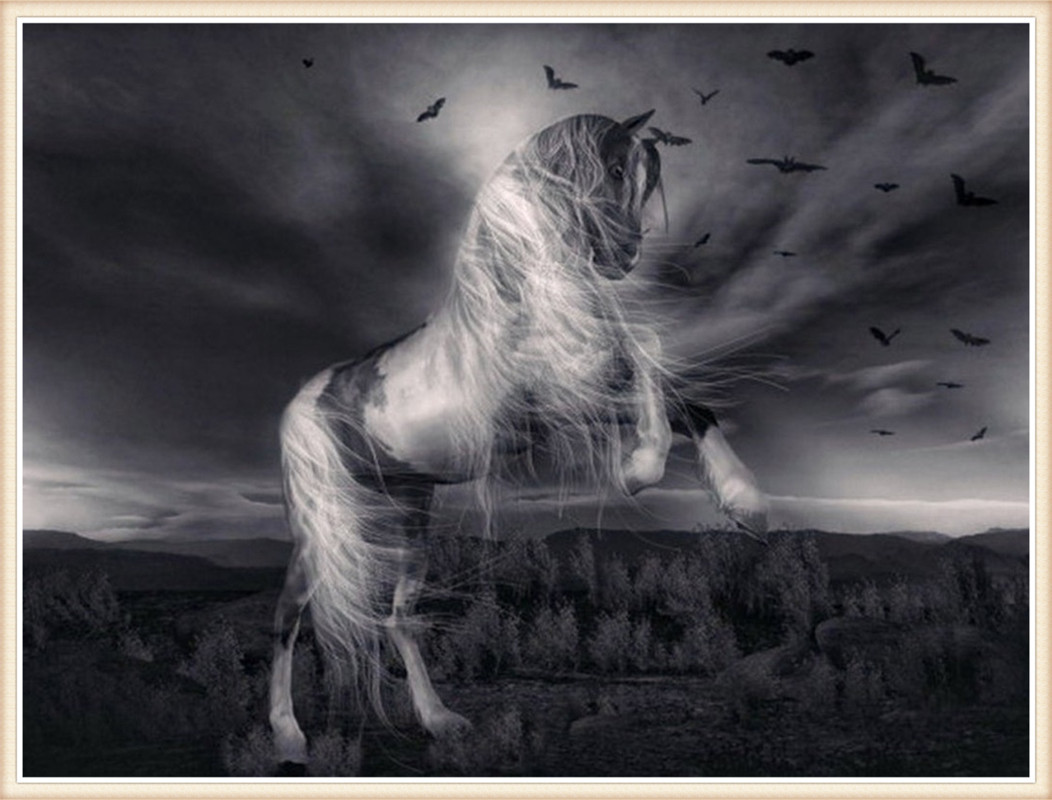 DW1014 黑白马 20x25.jpg