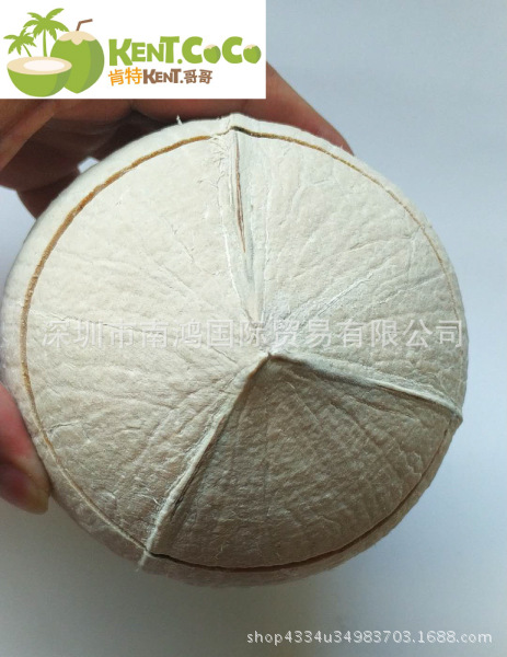 Advance sale Thailand Coconut 2 Thailand fresh Imported Coconut  Direct Wholesale