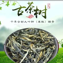 2018年昌宁老树大叶种（单株）晒青 茶叶批发