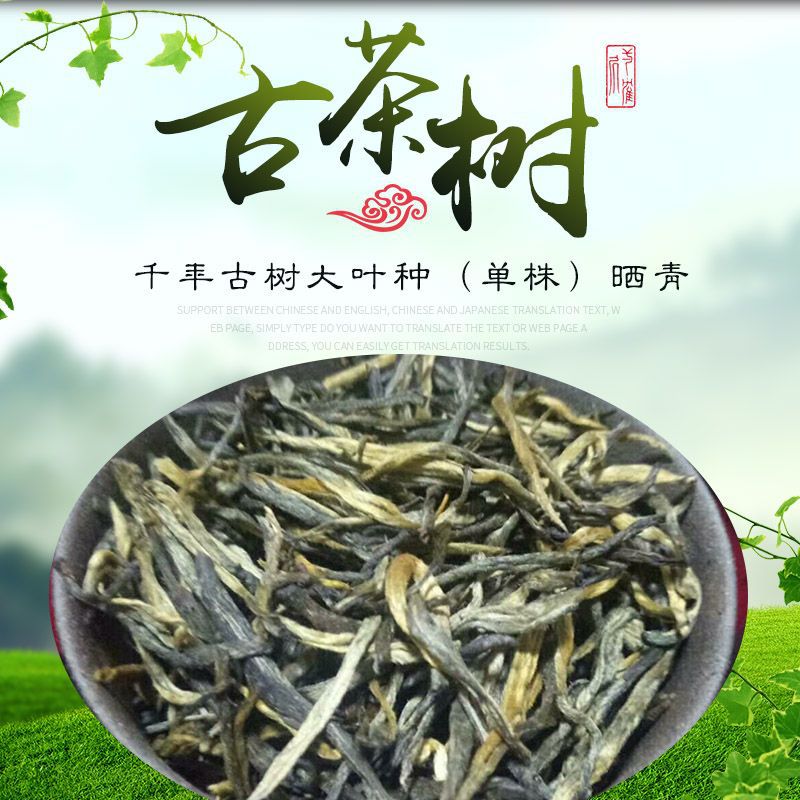 2018年昌宁老树大叶种（单株）晒青 茶叶批发