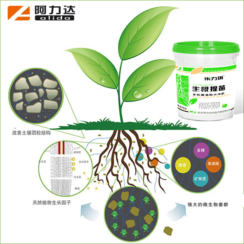 高效氨基酸生根剂 快速生根 增根 提苗 大棚蔬菜专用生根液-阿里巴巴