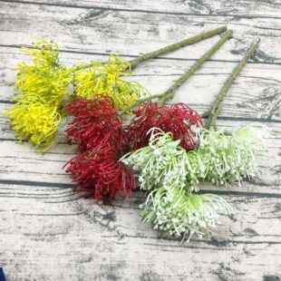 �����֧���»� 3�^ ��c�ҾӔ[���zӰ�b� �廨��� ���滨