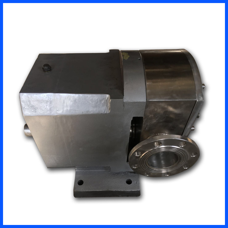 FTLB30-0.6-80不锈钢凸轮转子泵-2