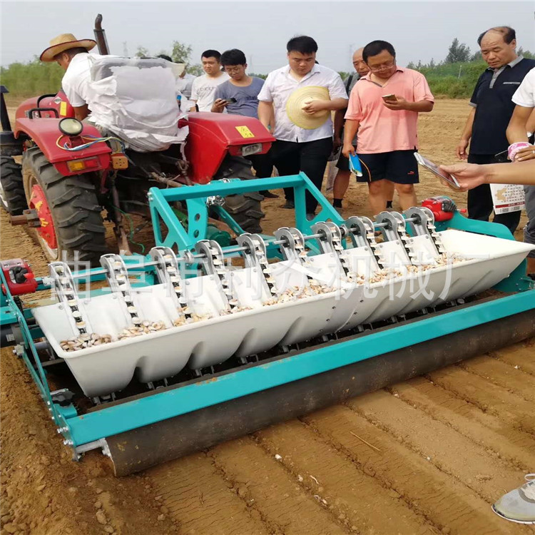 和田县 全自动一体化大蒜播种机 新款大蒜播种机价格