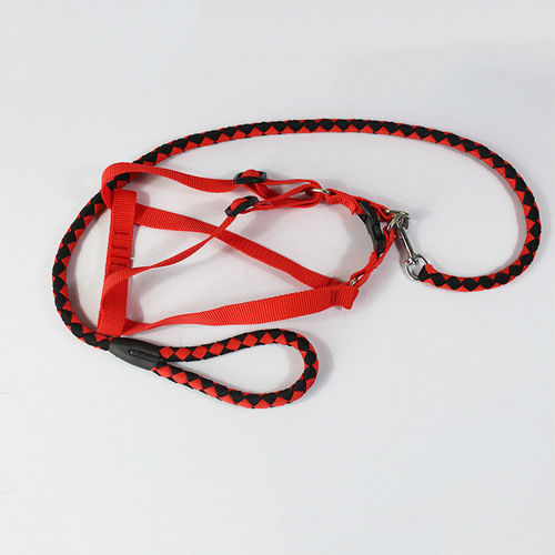 Factory-made Dog Pet Polypropylene Army Green Leash (Harness) – Dog Leash & Collar