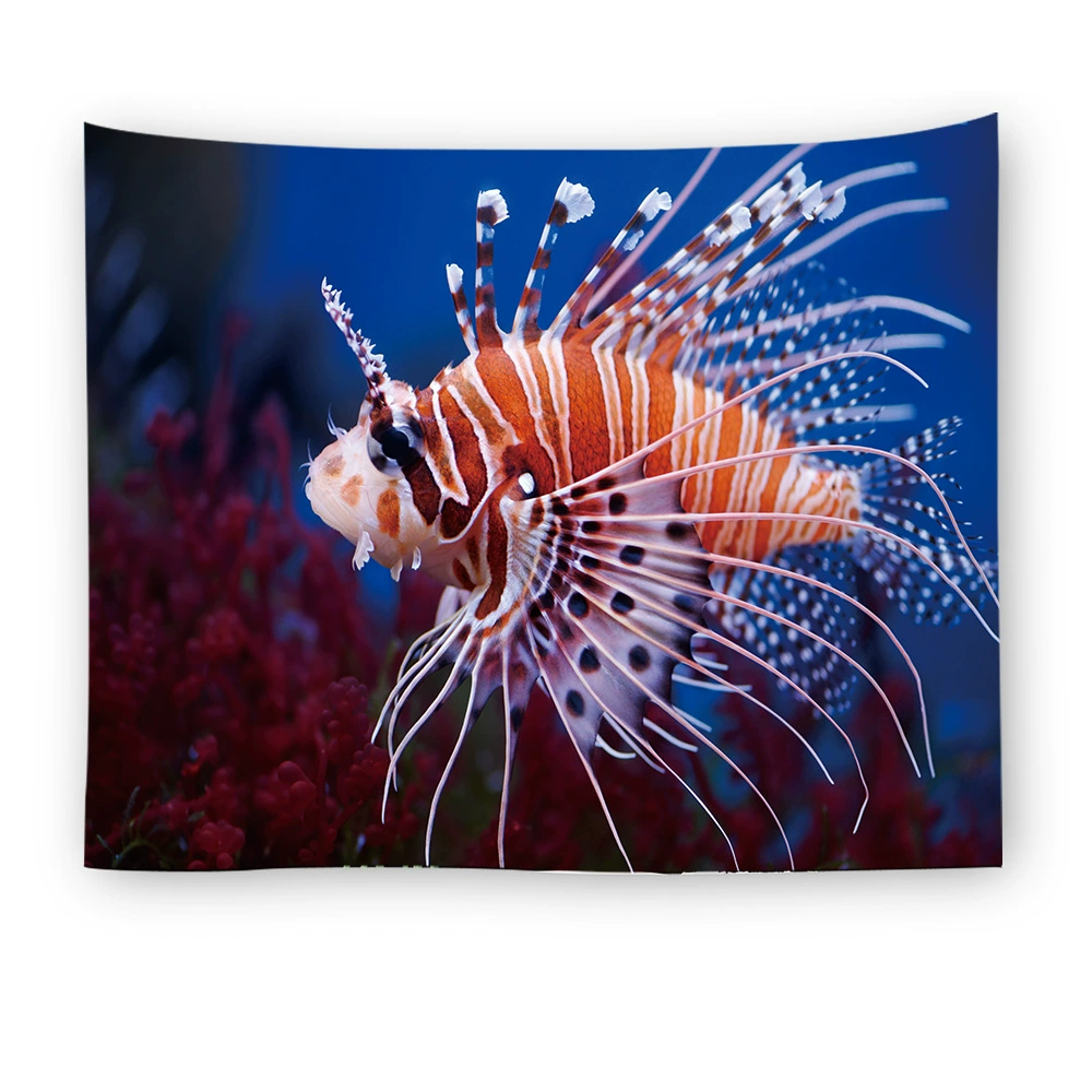 Decorations, tapestry, ebay, Amazon