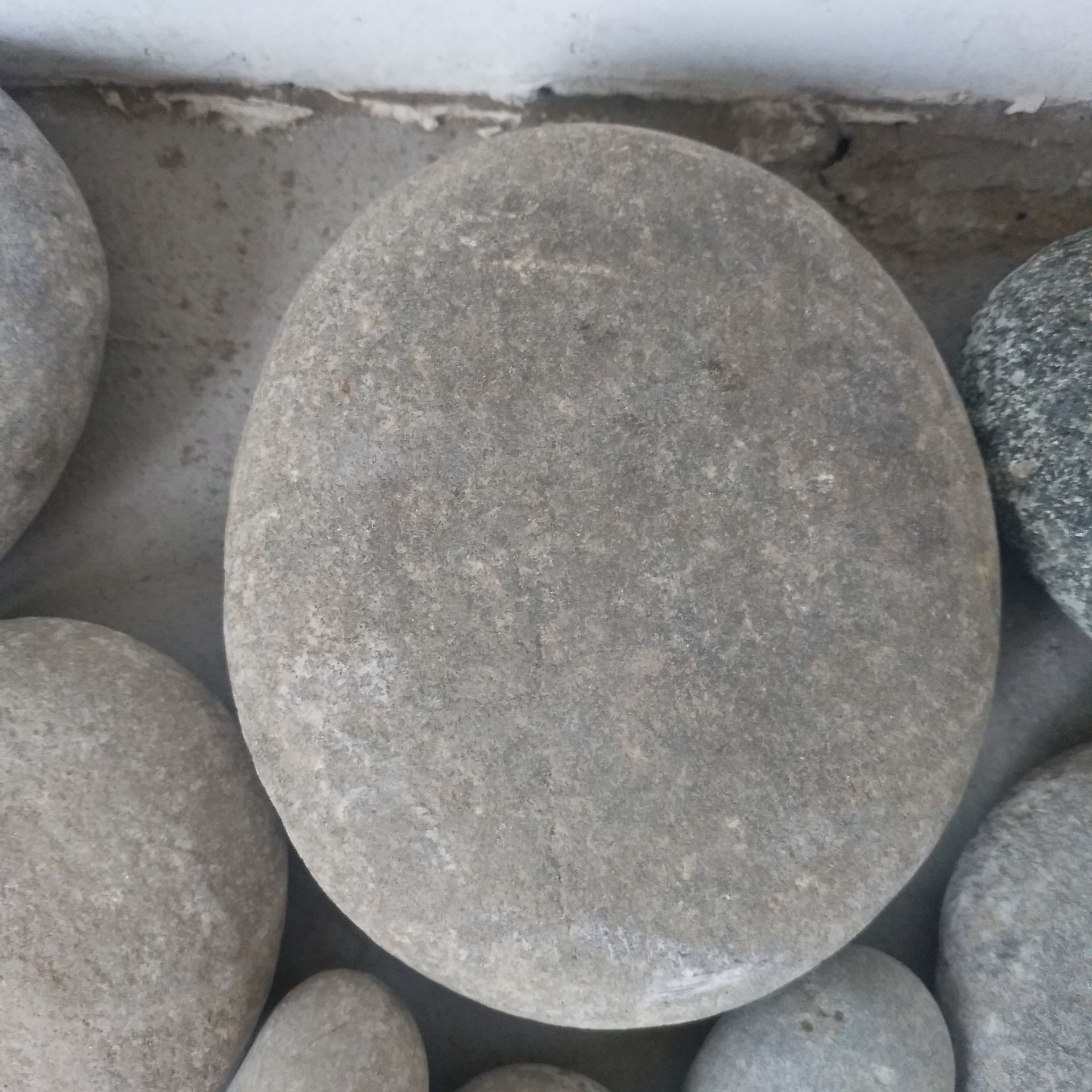 3131900F5D22F4F32B47C44510E70A