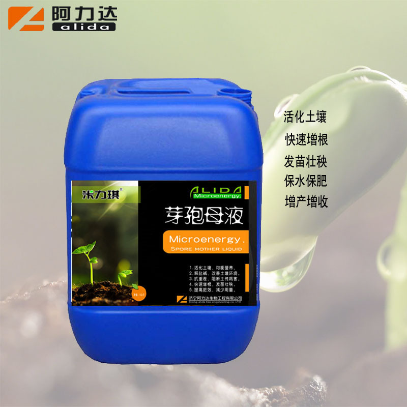 Miliqi Spore Mother Liquid Is Resistant to Repeated Cropping, Salt and Alkali Resistance, Disease Removal, and Contains Bacillus Subtilis