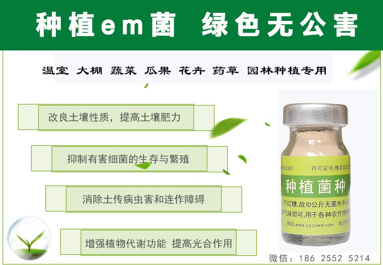 种植益生菌菌种