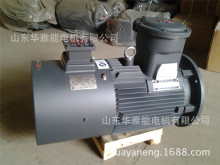 Ϸ늙CϷ׃lYDT-132S-4-5.5KW늙C؛r