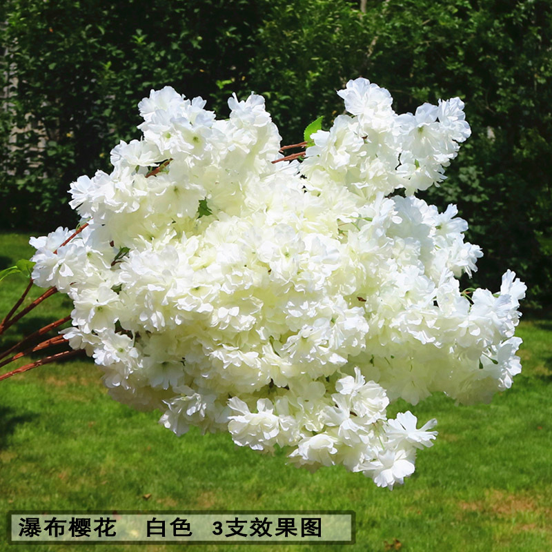 瀑布樱花白色-华康.jpg