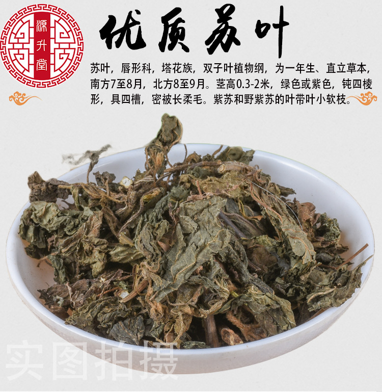Zi Su Ye (Perilla frutescens) — Dried Perilla Leaf for Deodorizing & Culinary Use key features
