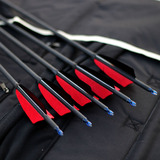 Лук и стрелы, оборудование, карбоновая стрела, олимпийский лук, стрельба из лука