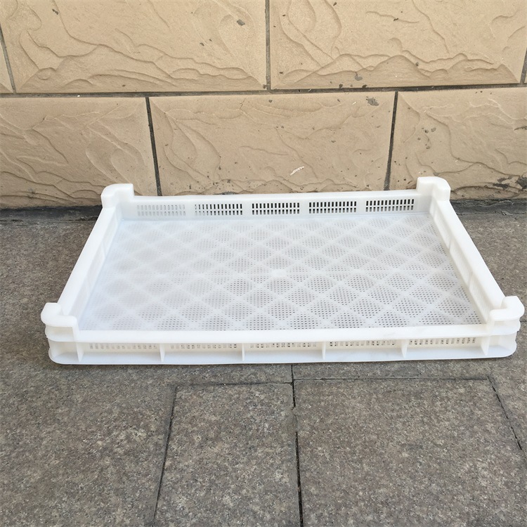 供应海南 江门-40℃低温塑胶冷冻盘 耐100℃高温塑胶晾烘烤晒盘