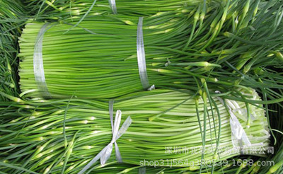 Place of Origin supply fresh  Vegetables Garlic A garlic bolt Garlic Farm Vegetables Strapping Fresh wholesale Distribution