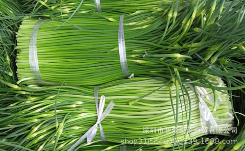 Place of Origin supply fresh  Vegetables Garlic A garlic bolt Garlic Farm Vegetables Strapping Fresh wholesale Distribution