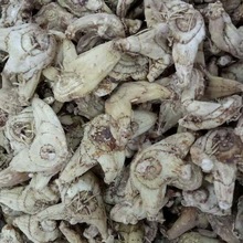 �в� ��ܸ �ʸ�  ���m ���m  һ�����l ���Mĥ��