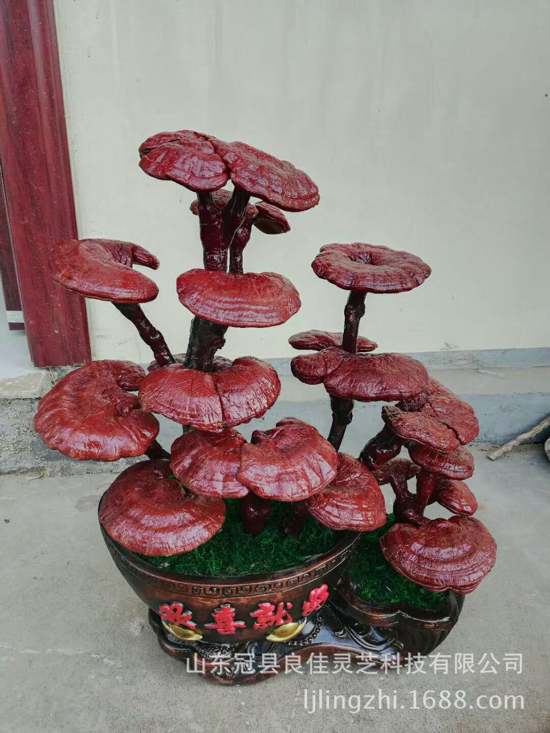 活体嫁接中小型灵芝盆景厂家货源一手价格 送礼摆件-阿里巴巴