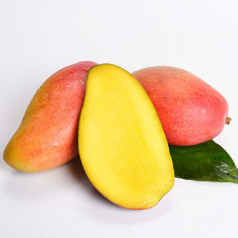 Guangxi Baise Royal Mango fresh Season fruit Hongjinlong wholesale Full container