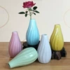 Style 9 (striped bottle) 144 pcs/carton