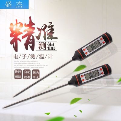 现货供应食品温度计 烤肉温度计 电子大屏显示笔式温度计|ru