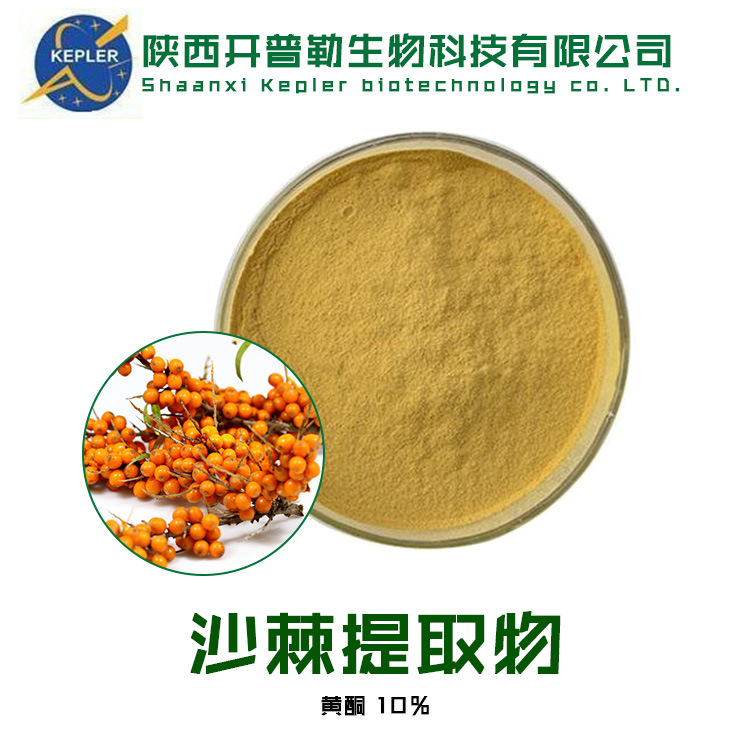 主图32--沙棘提取物
