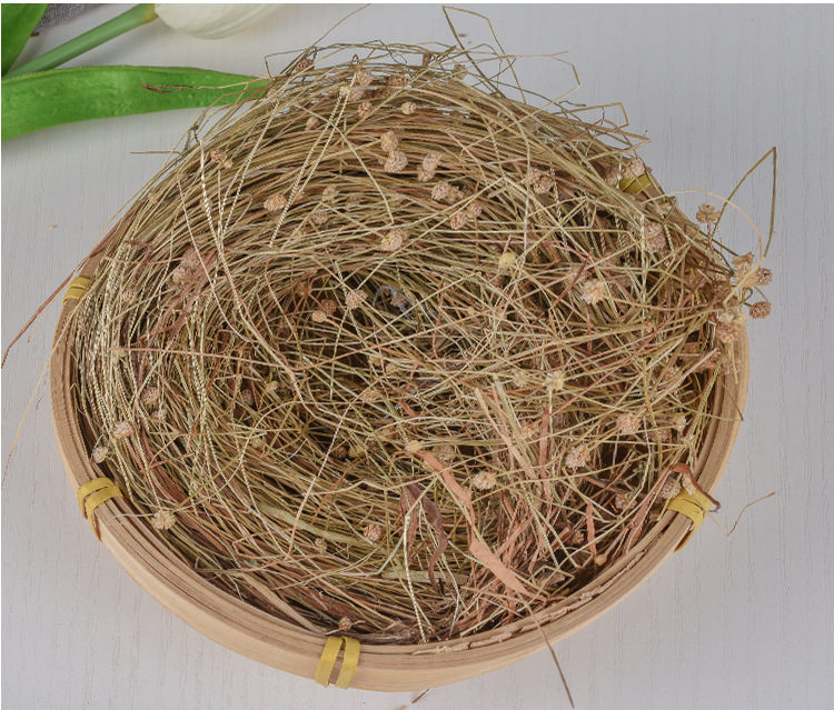 Gu Jing Zhu (Eriocaulon Flower Bud) — Dried Food Herb, 500g Bulk Herbal Supply quality and texture