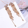 Long fashionable accessory with tassels, earrings, wish, European style