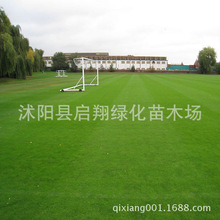 ��ƺ�N�ӳ����o�²��޼�e��ͥԺ���`̤��̺�ݹ���������