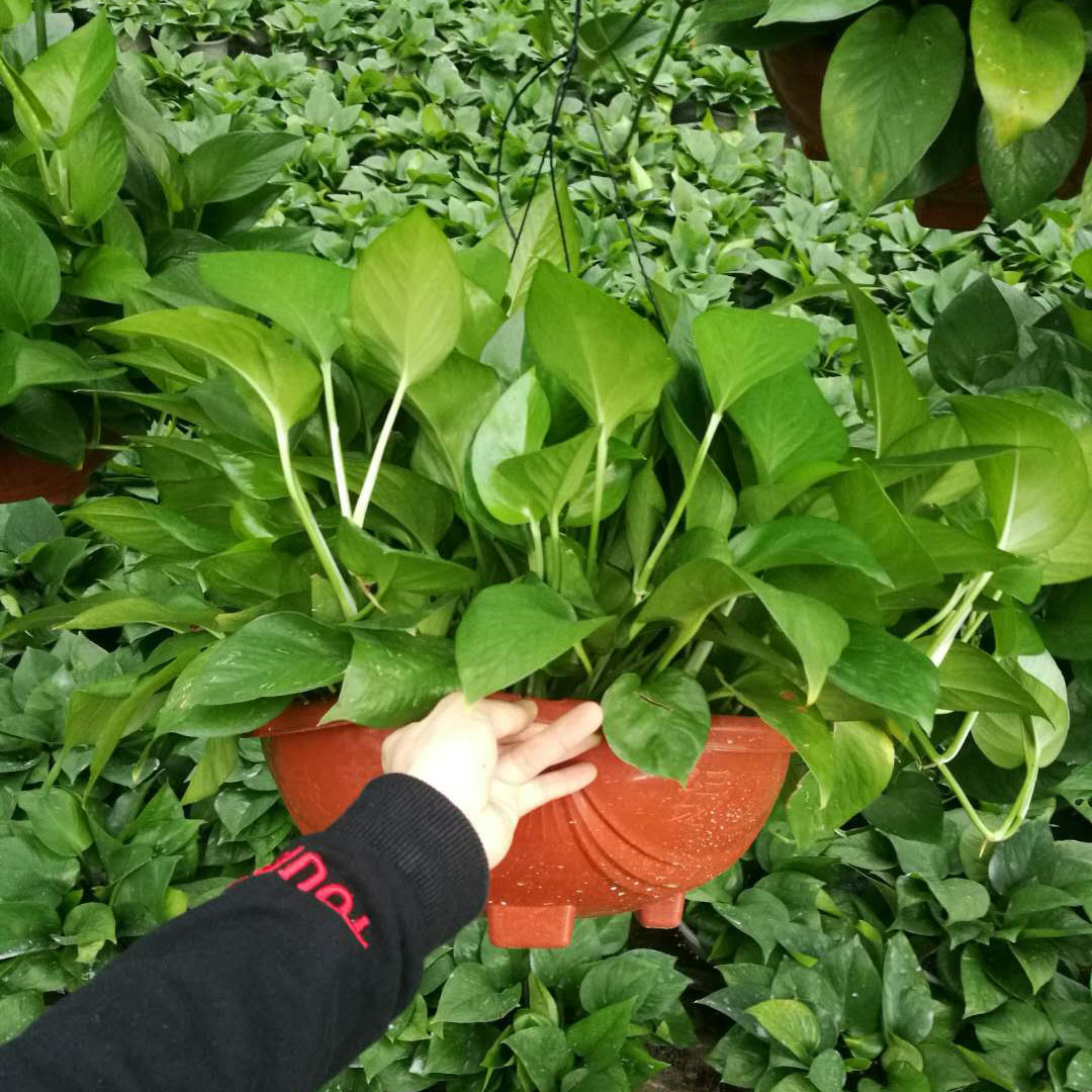 微信图片_20180514090208